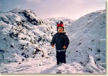 20060301-02 Mark bij een berg sneeuw